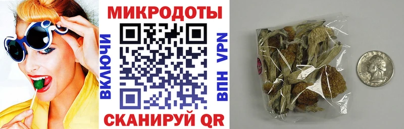 Галлюциногенные грибы Psilocybine cubensis Мглин