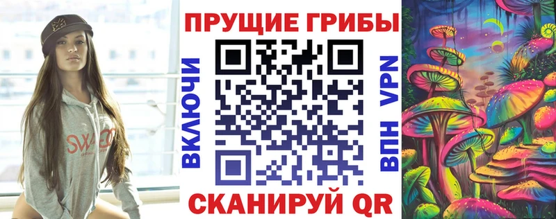 Галлюциногенные грибы Psilocybe  Мглин 